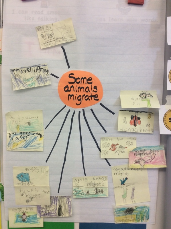 Super Mrs. Young's Grade ONEderful - Class Blog LZ-71